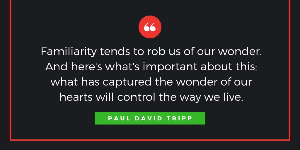 Come, Let Us Adore Him: A Daily Advent Devotional by Paul David Tripp