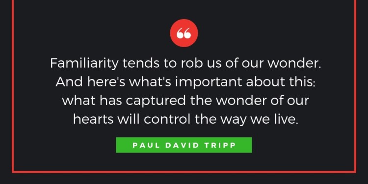 Come, Let Us Adore Him: A Daily Advent Devotional by Paul David Tripp