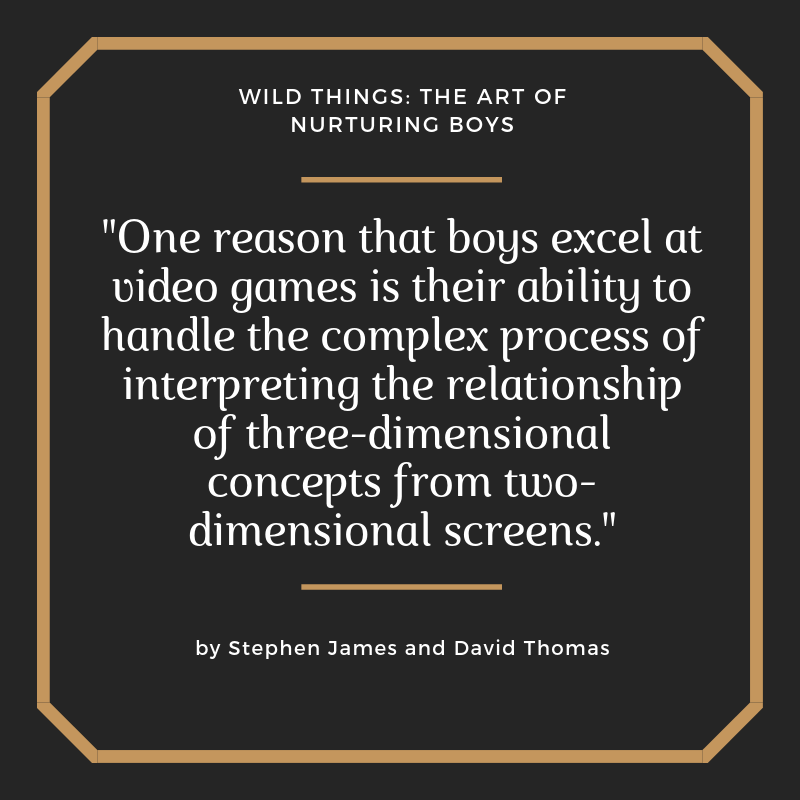 Video Games and Boys