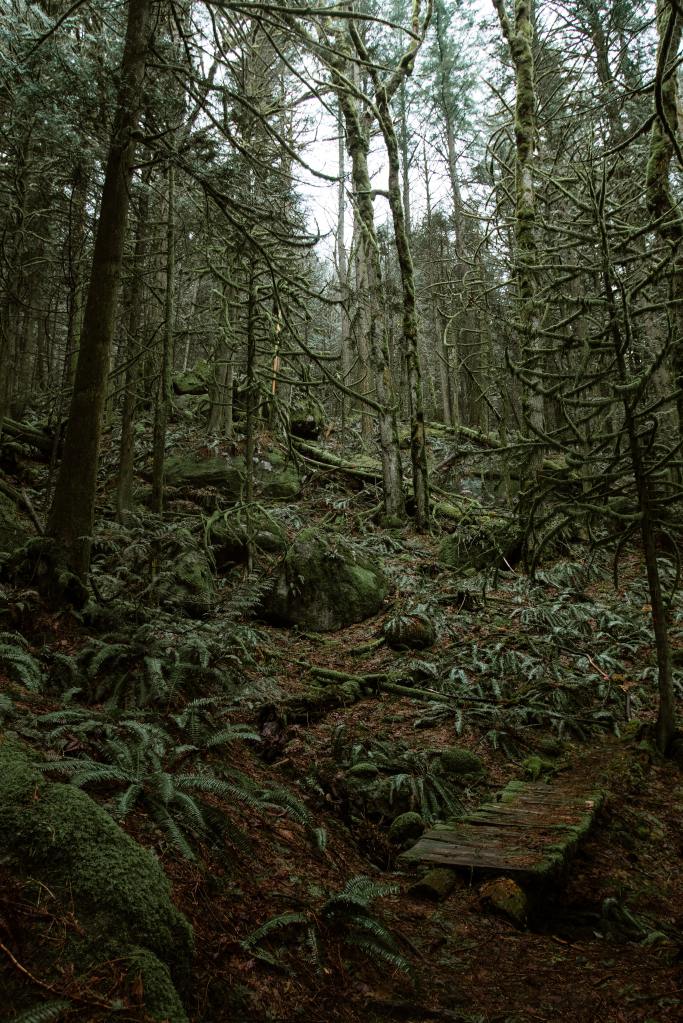 Photo by Christopher Ott on Unsplash